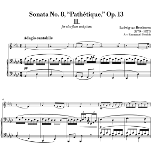 Thumbnail of Pathetique Arrangement